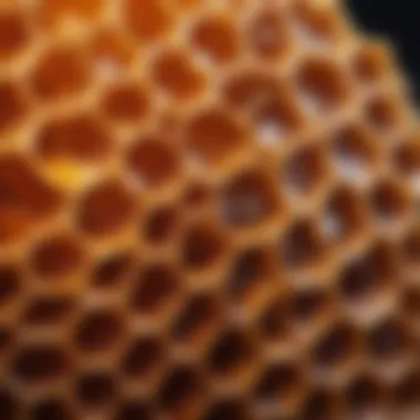 A vibrant honeycomb showcasing its natural structure