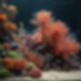 An intricately designed coral reef aquarium decoration
