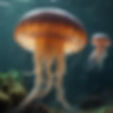 A dynamic scene depicting jellyfish interacting with other marine species