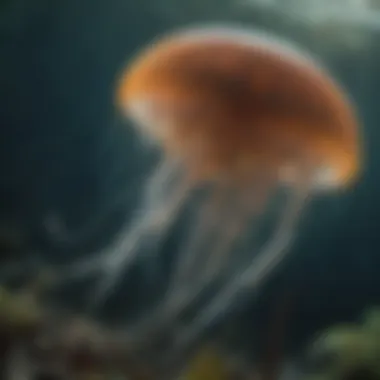 A serene underwater scene illustrating jellyfish in their natural habitat