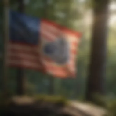 Massachusetts flag at a cultural event