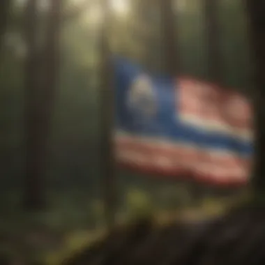 The Historical Significance of the Massachusetts Flag Historical representation of the Massachusetts flag
