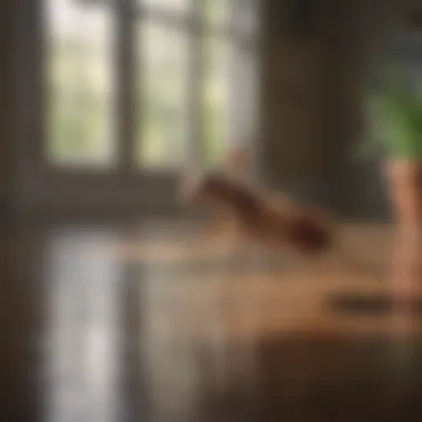 A serene home environment free from fleas and ticks