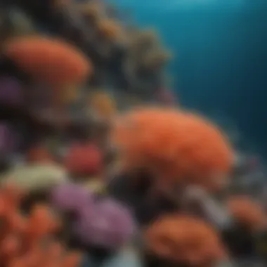 Coral Reef Diversity and Its Inhabitants An intricate coral reef teeming with diverse marine life.