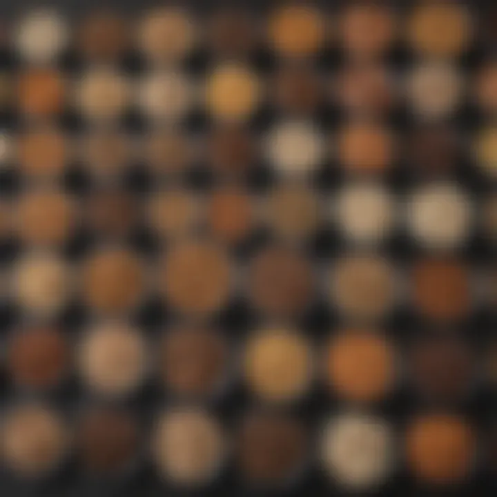 A selection of different types of puppy food, illustrating the variety available for young dogs.