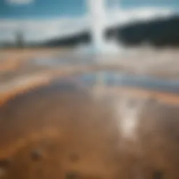 A panoramic view of Yellowstone's vibrant geothermal features in summer.