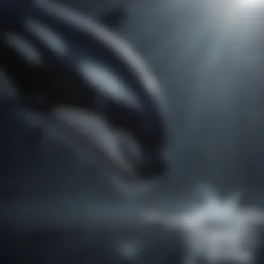Threats to orca habitat