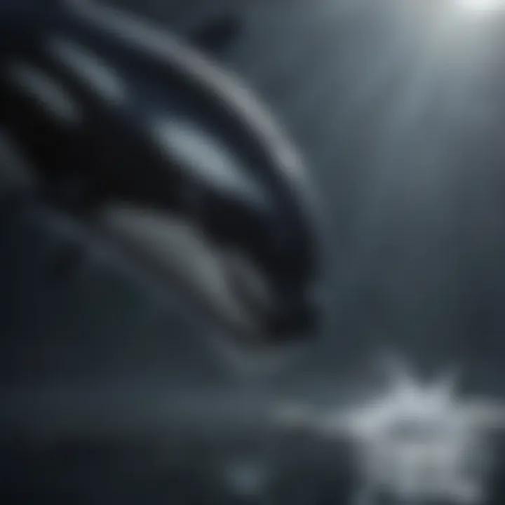 Threats to orca habitat