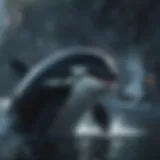 Orca swimming in the ocean