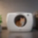 Modern self-cleaning cat litter box with advanced features