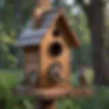 Detailed blueprint of a birdhouse designed for sparrows and finches, showcasing specific dimensions and features.