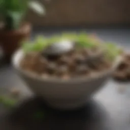 A variety of aquatic turtle food options displayed in bowls