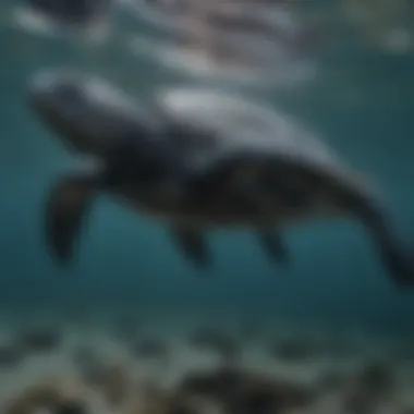 Leatherback turtle swimming gracefully in ocean depths