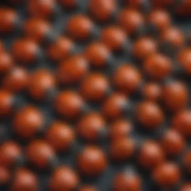Intricate Patterns of Ladybugs Close-up of a ladybug revealing intricate patterns and color variations.
