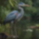 A beautifully crafted fake blue heron decoy placed near a serene pond