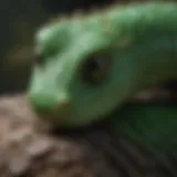 Close-up view of a green hornworm showcasing its distinctive features and coloration