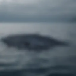 A blue whale swimming gracefully in the ocean depths