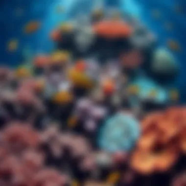 The Wonders of Marine Biodiversity A vibrant coral reef teeming with diverse marine life, showcasing underwater ecosystems.