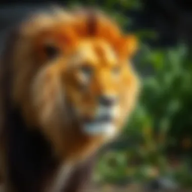 The Majesty of the Lion A majestic lion in its natural habitat, embodying the strength of wild animals.