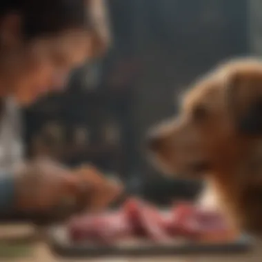 Expert Insights on Raw Diets Veterinarian discussing raw diets with pet owner