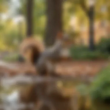 Squirrels in an Urban Environment A scenic view of an urban park with squirrels interacting with their environment, emphasizing the impact of urbanization.