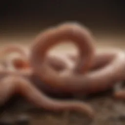 Various types of dog worms affecting canine health