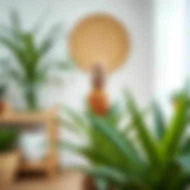 A well-arranged indoor setting featuring a pineapple houseplant.