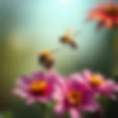 Notable The Role of Flowers in Supporting Pollinators Notable The Role of Flowers in Supporting Pollinators