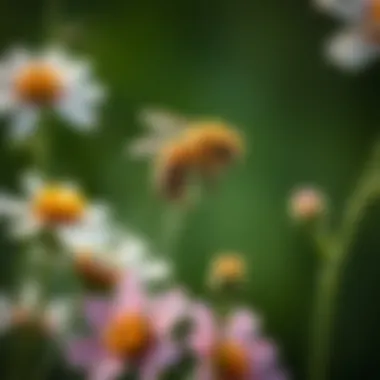 The Role of Flowers in Supporting Pollinators Summary The Role of Flowers in Supporting Pollinators Summary