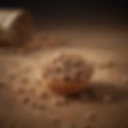 Close-up of Royal Canin Puppy Food kibbles