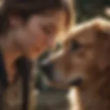 A serene moment between a pet and its owner during a farewell.