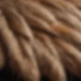 A close-up view of a dog's fur showcasing different textures and colors.