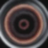 Close-up of hookworms in a petri dish