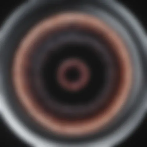Close-up of hookworms in a petri dish