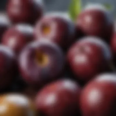 Nutritional Value of Plums Nutritional benefits of plums illustrated with rich colors