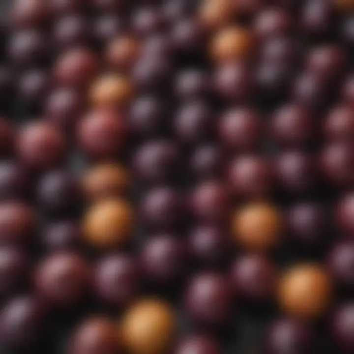 Various plum varieties displayed on a textured surface