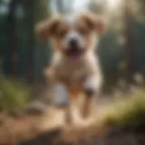 A playful puppy leaping with joy, showcasing excitement.