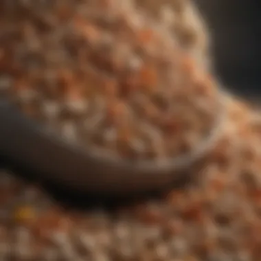 Ingredients of Quality Dog Food Close-up of premium quality dog food ingredients