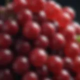 Close-up of red grapes highlighting their texture and color.