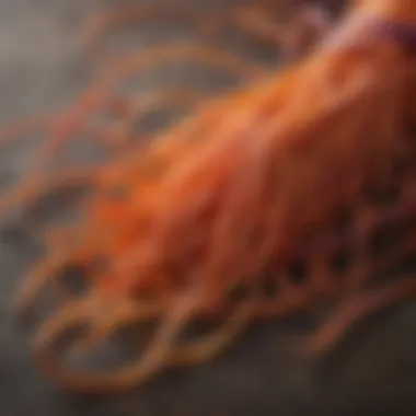 A close-up view of saffron threads showcasing their vibrant color and texture, symbolizing luxury and rarity.