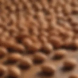 Close-up of almonds on a wooden surface