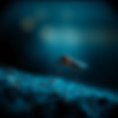 Understanding the Nocturnal Behavior of Mosquitoes Summary