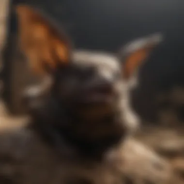 Bats and Their Ecological Importance Ecological role of bats illustrated