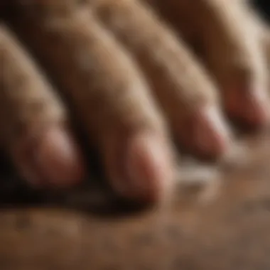 Signs of Irritation in Dog's Paw Close-up of a dog's paw with signs of irritation