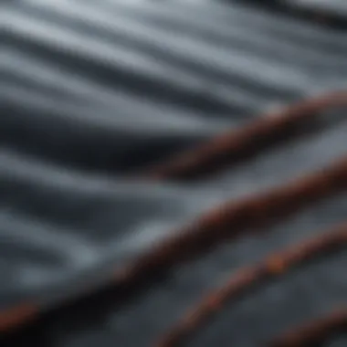 A close-up of a whale's baleen plates filtering krill